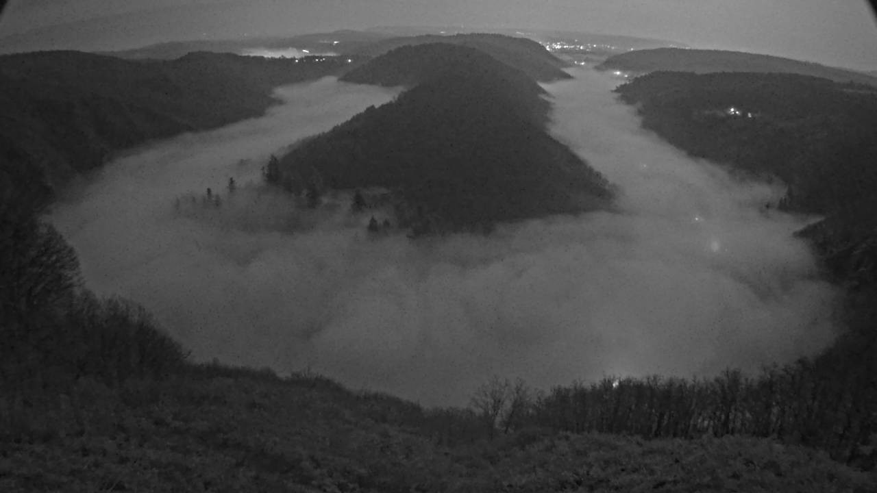 Archived image Webcam Canopy Pathway Saar Loop