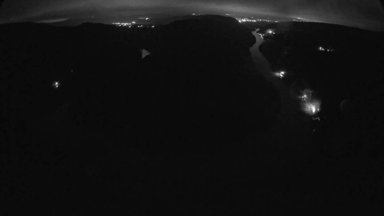 Archived image Webcam Canopy Pathway Saar Loop