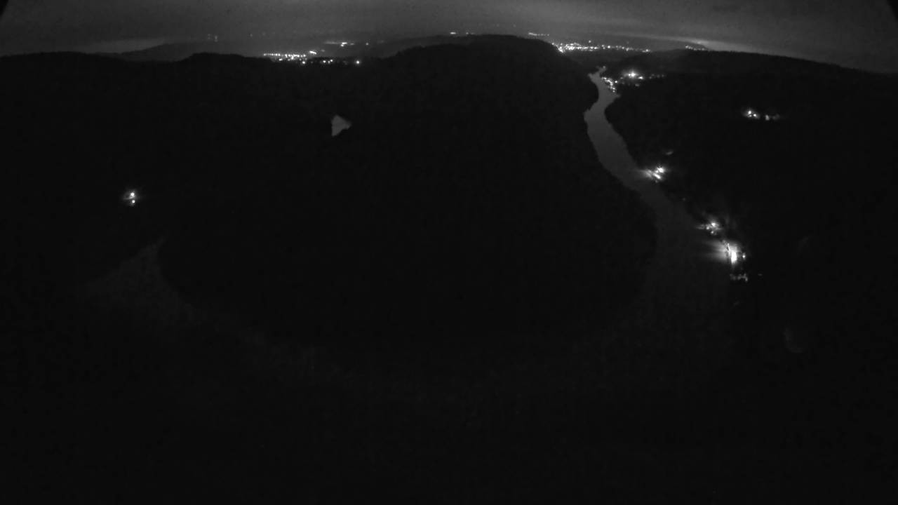 Archived image Webcam Canopy Pathway Saar Loop