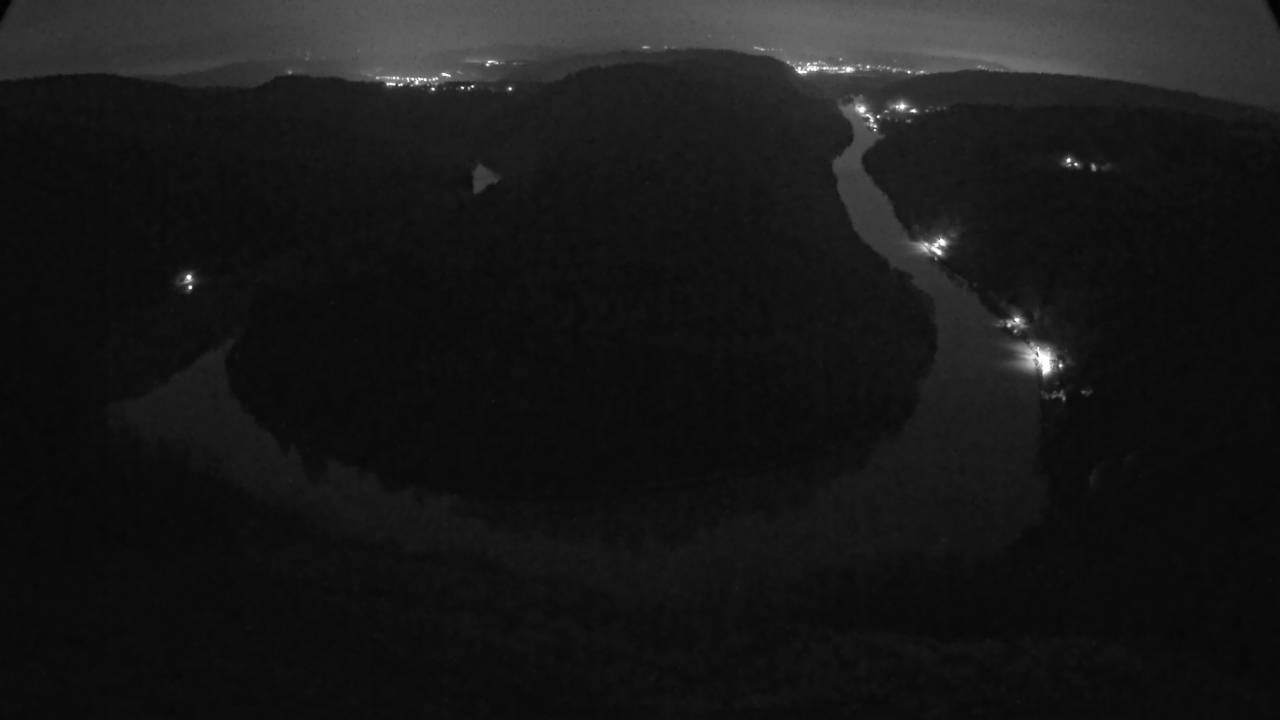 Archived image Webcam Canopy Pathway Saar Loop