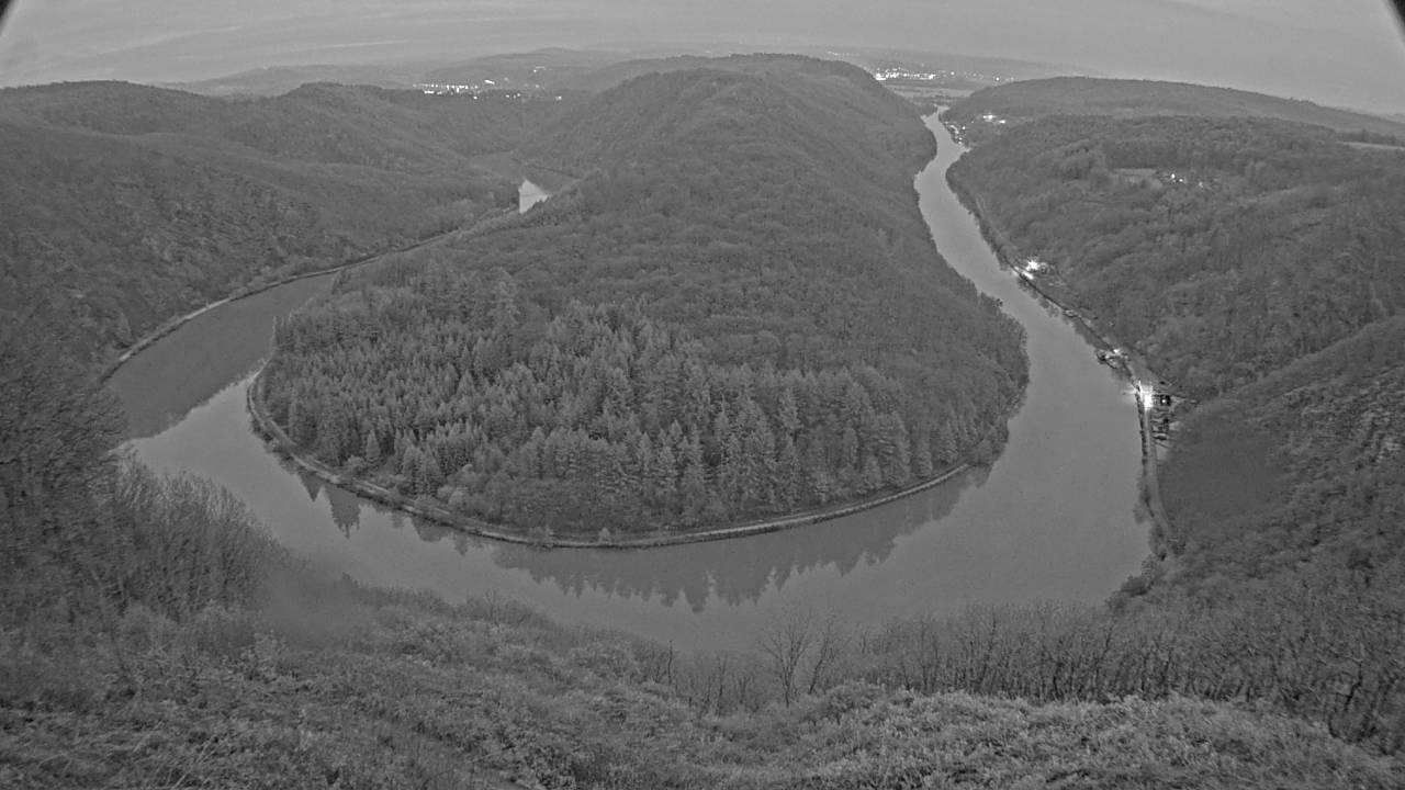 Archived image Webcam Canopy Pathway Saar Loop