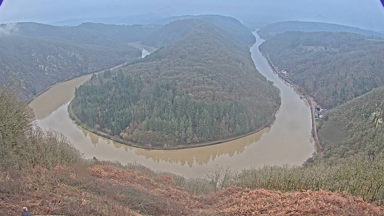 Archived image Webcam Canopy Pathway Saar Loop