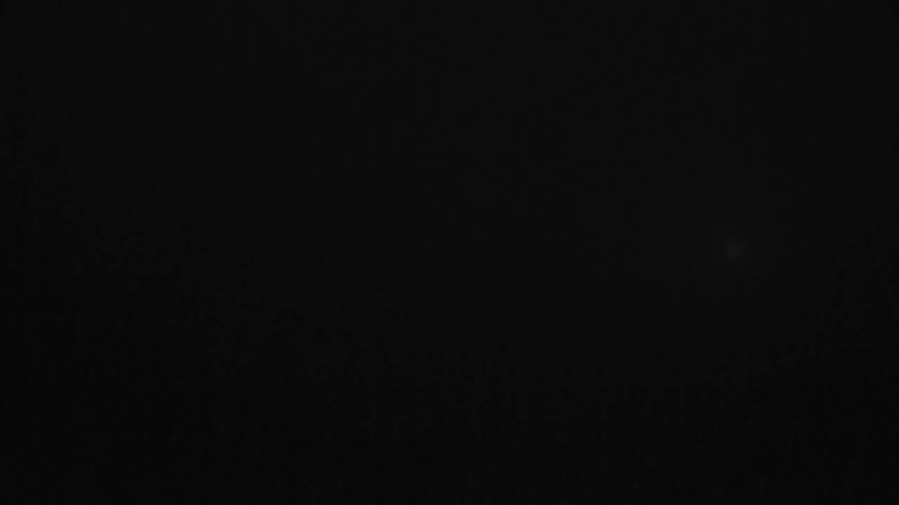 Archived image Webcam Canopy Pathway Saar Loop