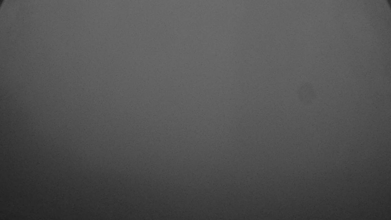 Archived image Webcam Canopy Pathway Saar Loop