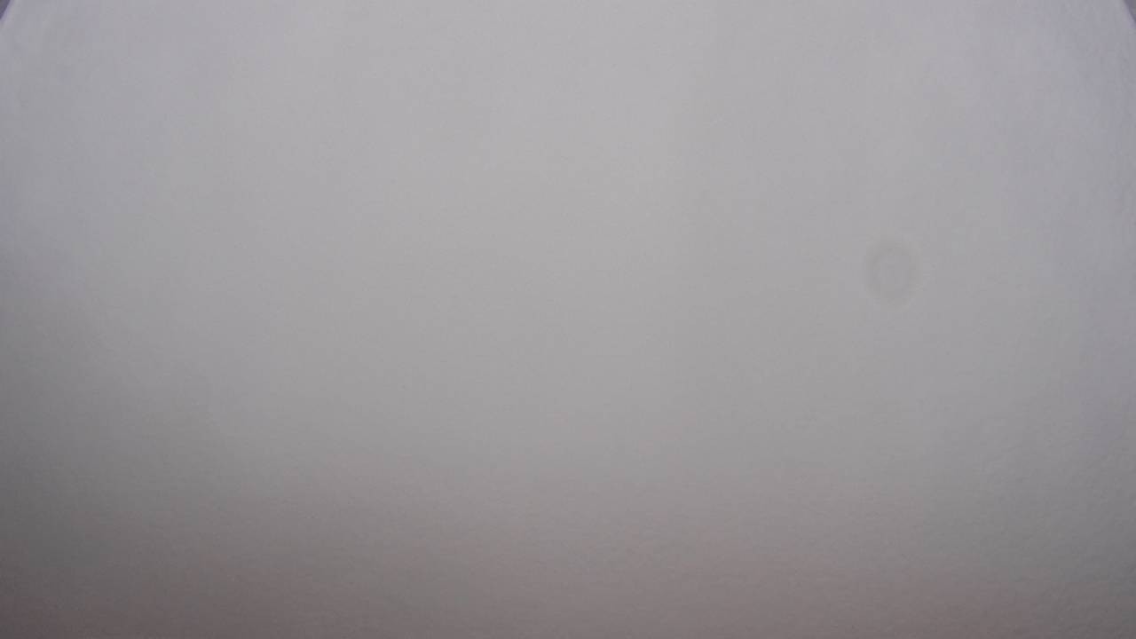 Archived image Webcam Canopy Pathway Saar Loop