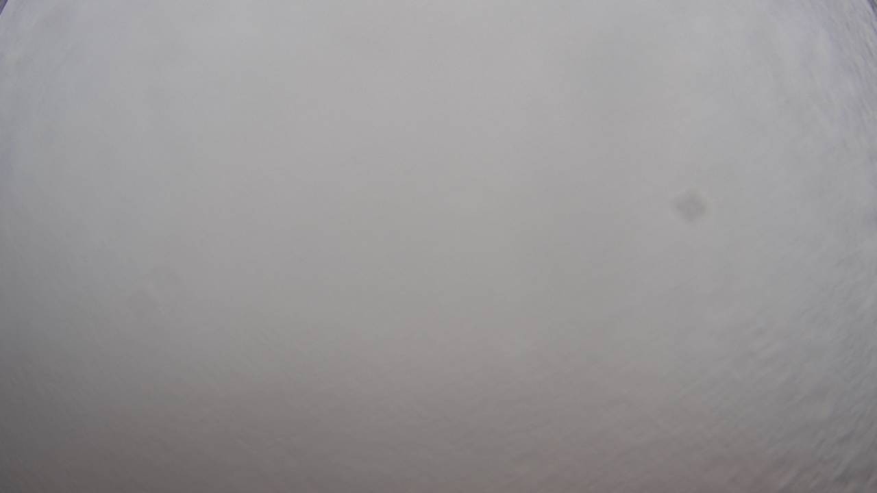 Archived image Webcam Canopy Pathway Saar Loop