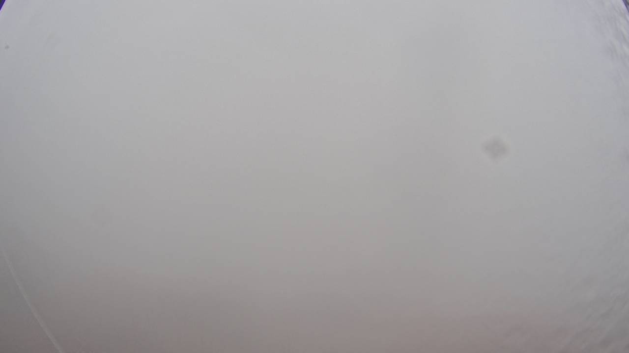 Archived image Webcam Canopy Pathway Saar Loop