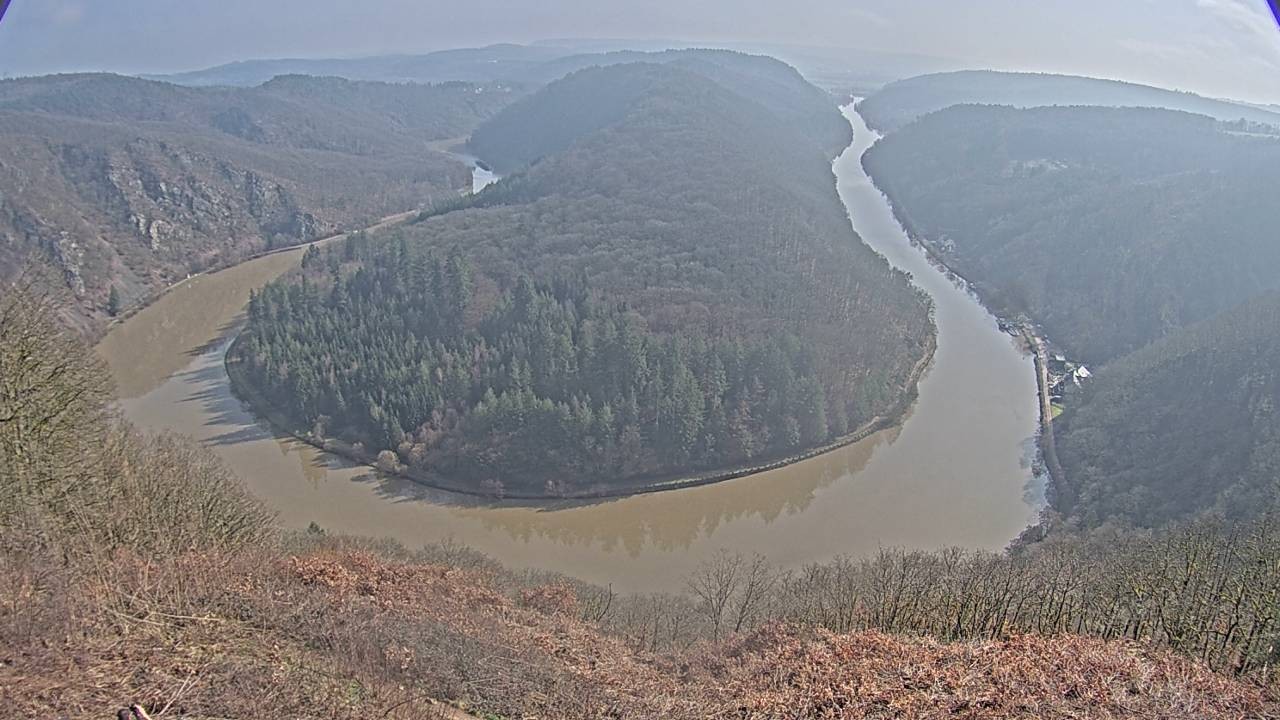 Archived image Webcam Canopy Pathway Saar Loop