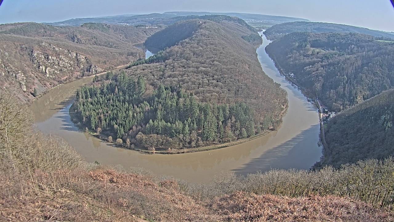 Archived image Webcam Canopy Pathway Saar Loop