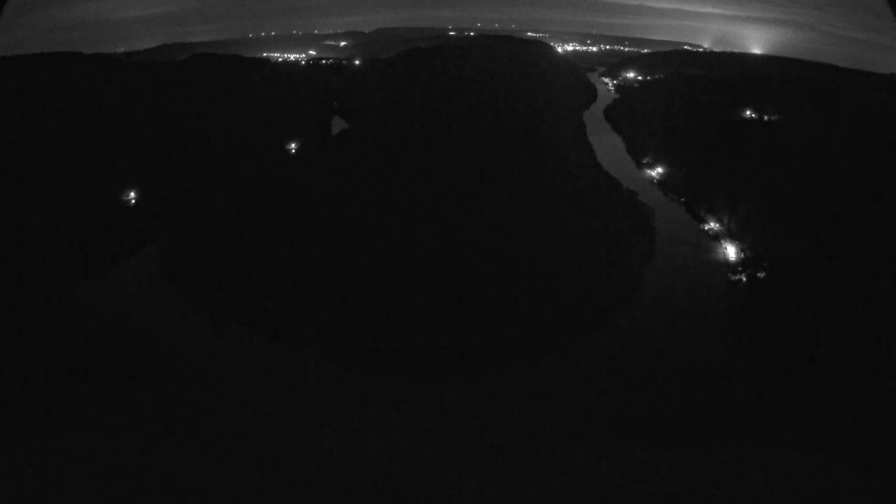 Archived image Webcam Canopy Pathway Saar Loop