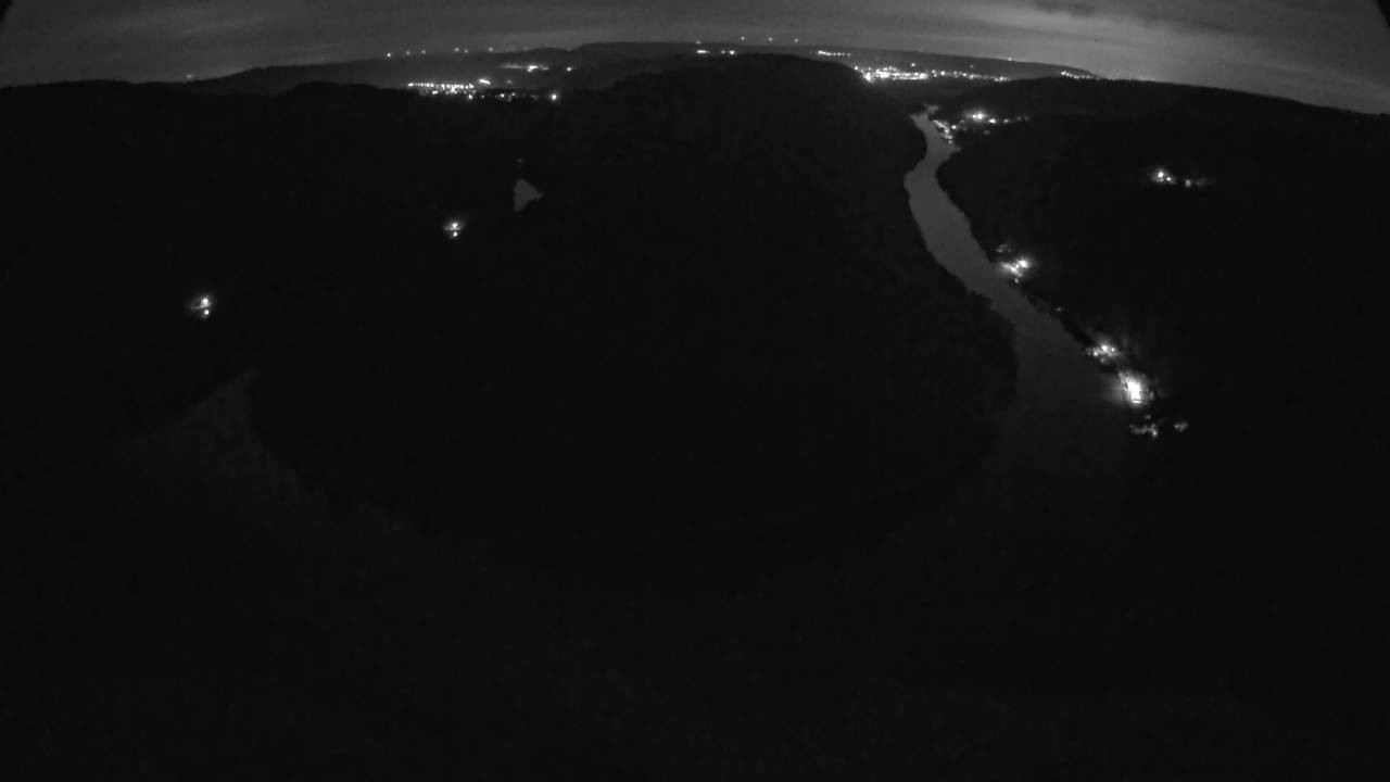 Archived image Webcam Canopy Pathway Saar Loop