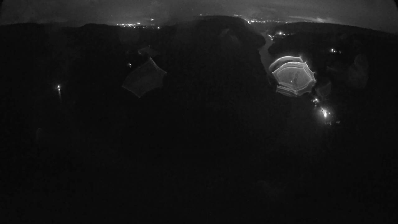 Archived image Webcam Canopy Pathway Saar Loop