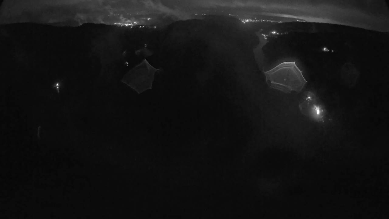 Archived image Webcam Canopy Pathway Saar Loop