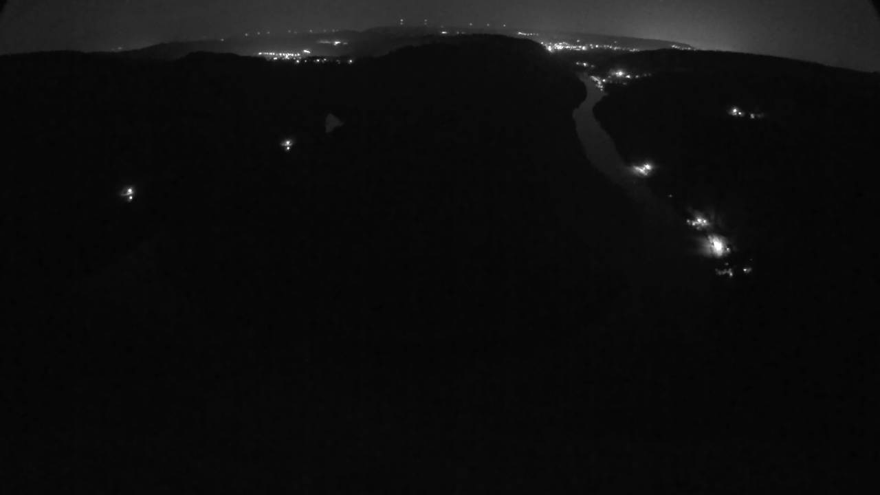 Archived image Webcam Canopy Pathway Saar Loop