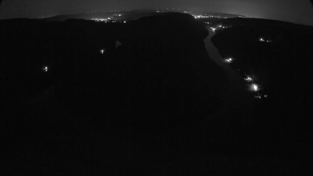 Archived image Webcam Canopy Pathway Saar Loop