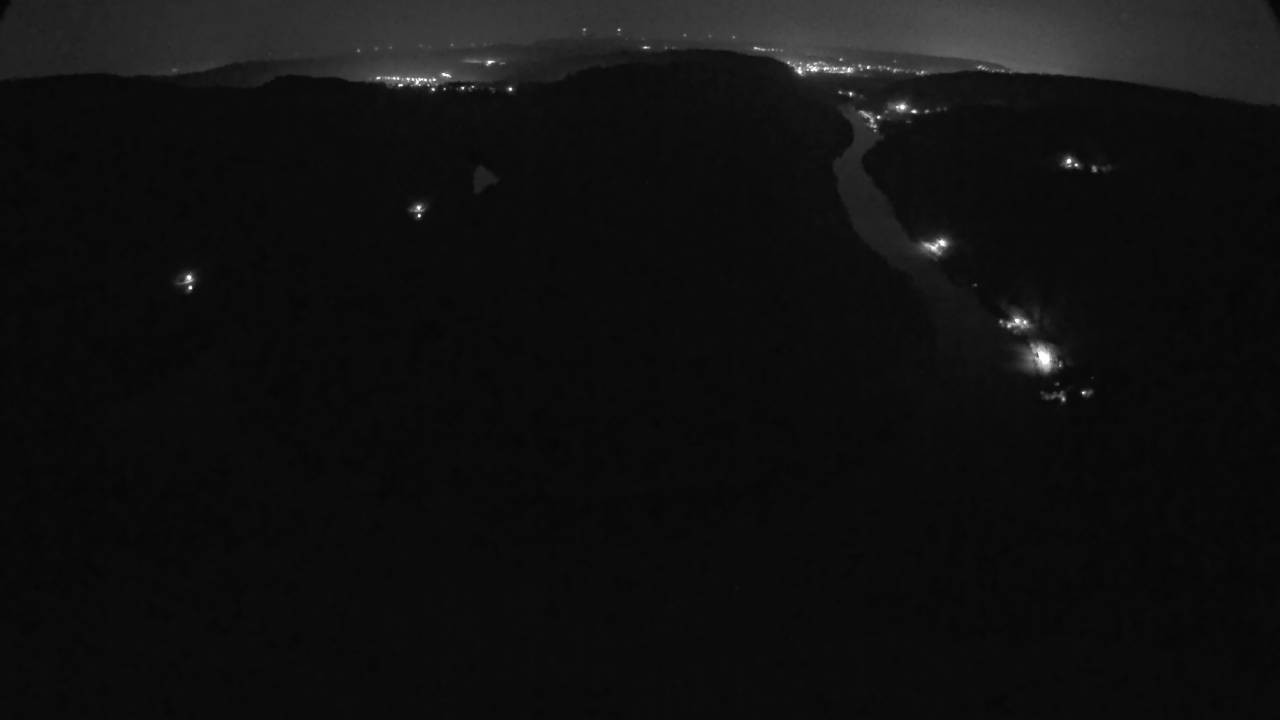 Archived image Webcam Canopy Pathway Saar Loop