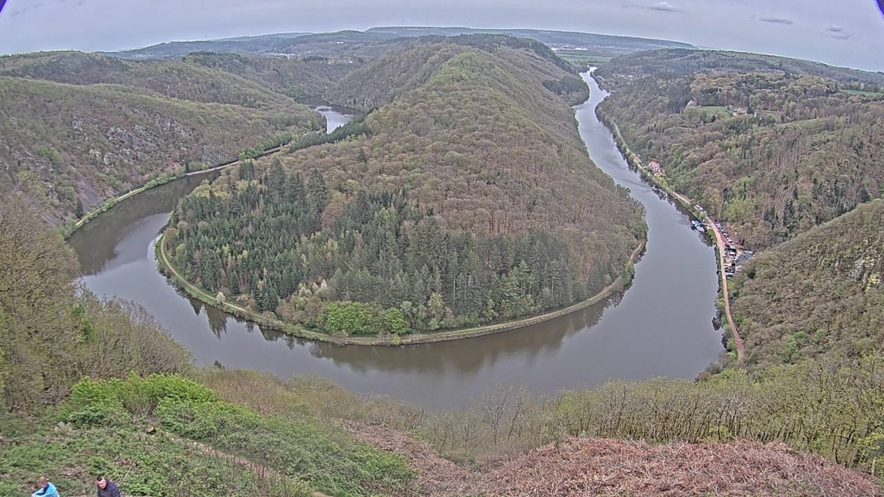 Archived image Webcam Canopy Pathway Saar Loop