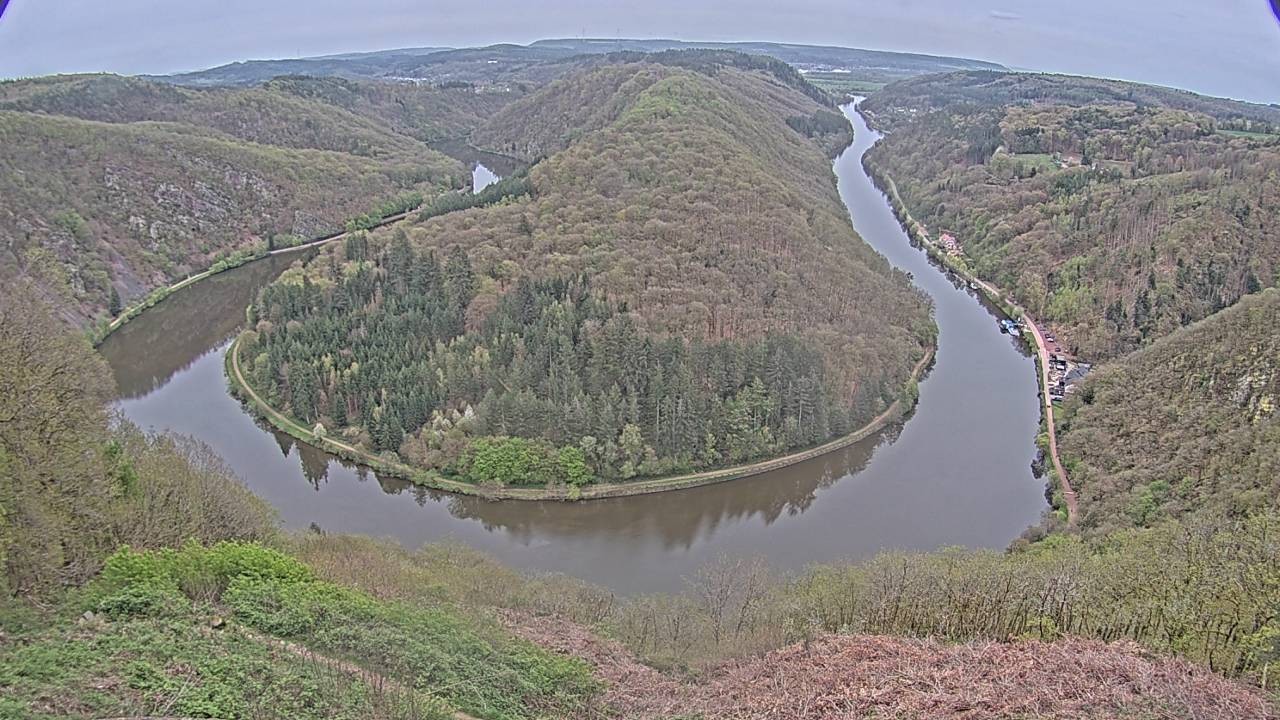 Archived image Webcam Canopy Pathway Saar Loop