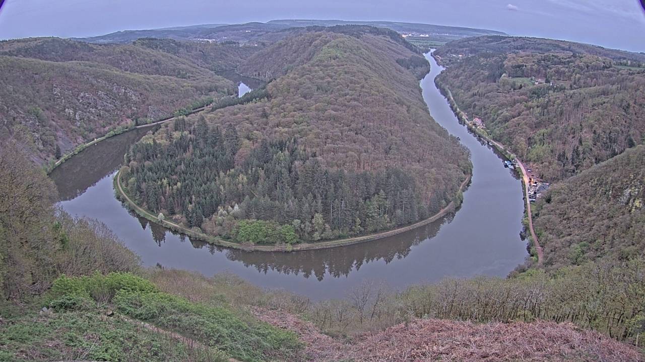 Archived image Webcam Canopy Pathway Saar Loop