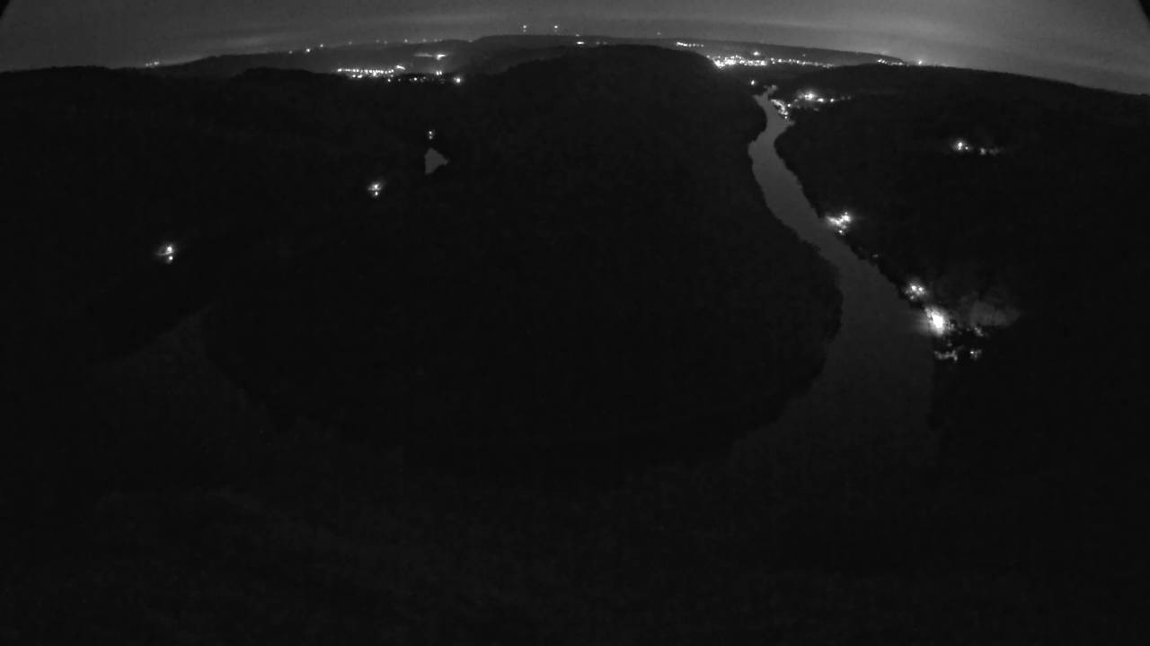 Archived image Webcam Canopy Pathway Saar Loop