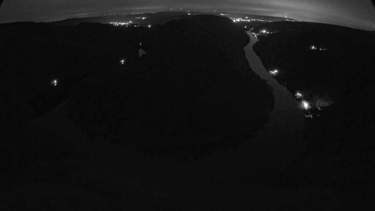 Archived image Webcam Canopy Pathway Saar Loop