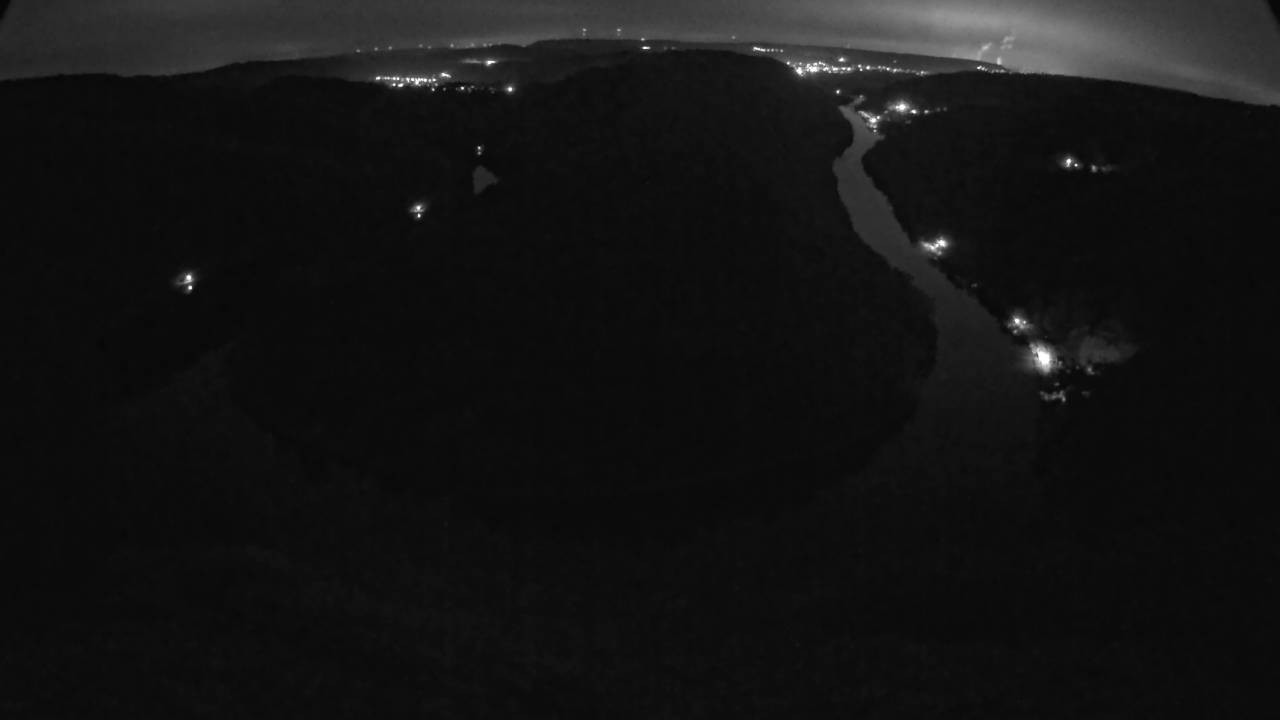 Archived image Webcam Canopy Pathway Saar Loop