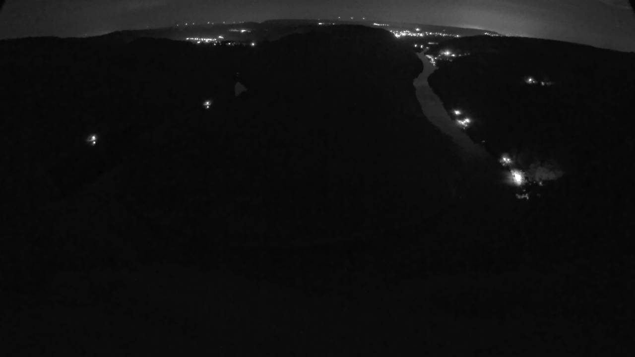 Archived image Webcam Canopy Pathway Saar Loop