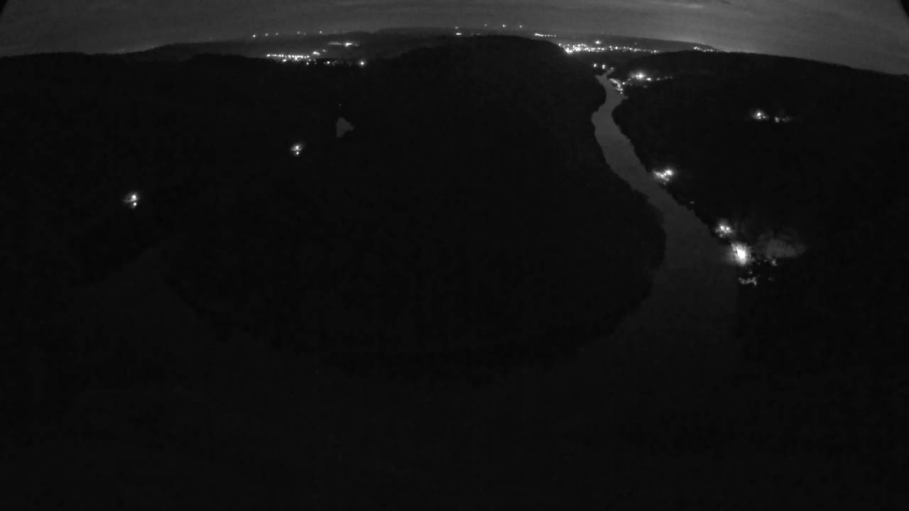 Archived image Webcam Canopy Pathway Saar Loop