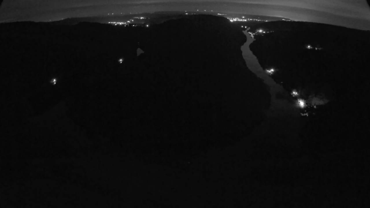 Archived image Webcam Canopy Pathway Saar Loop