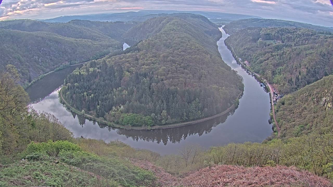 Archived image Webcam Canopy Pathway Saar Loop