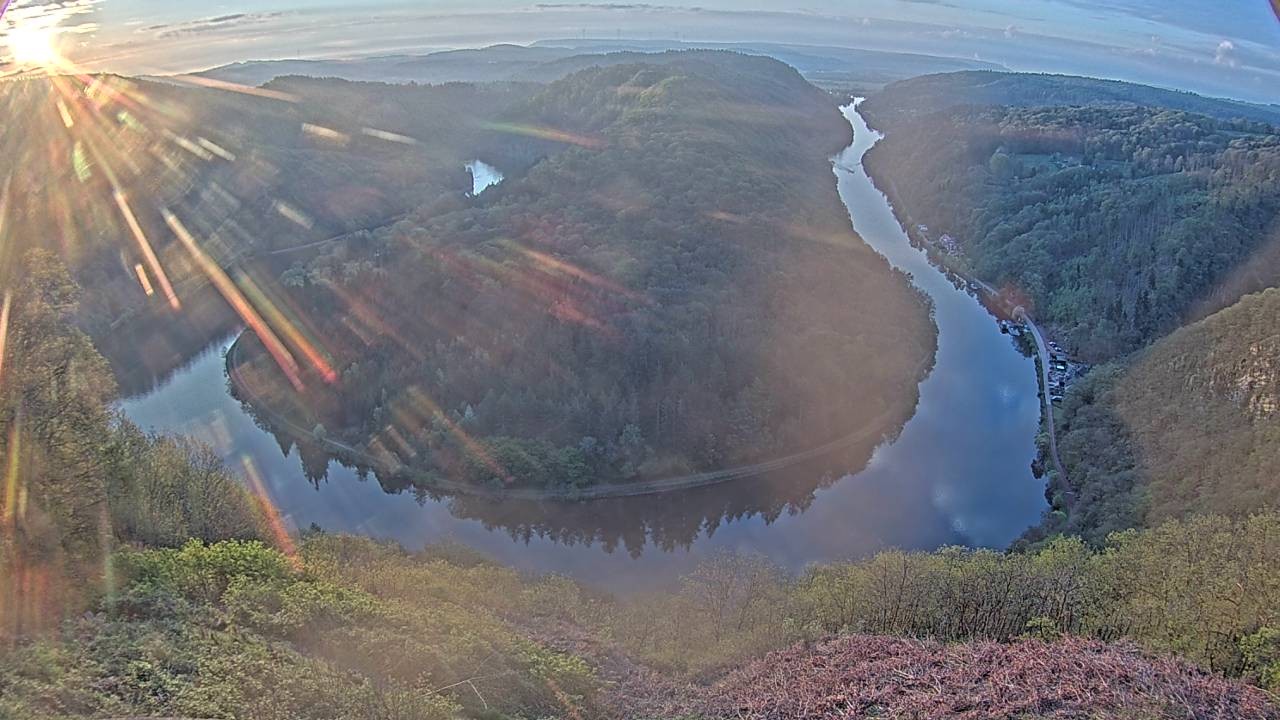 Archived image Webcam Canopy Pathway Saar Loop