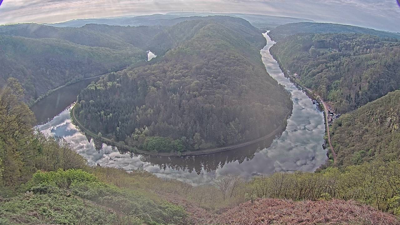 Archived image Webcam Canopy Pathway Saar Loop