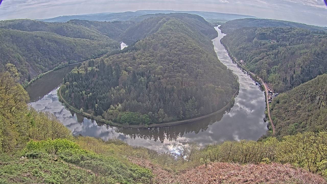 Archived image Webcam Canopy Pathway Saar Loop