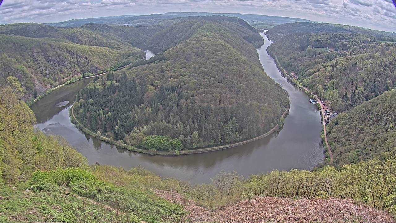 Archived image Webcam Canopy Pathway Saar Loop