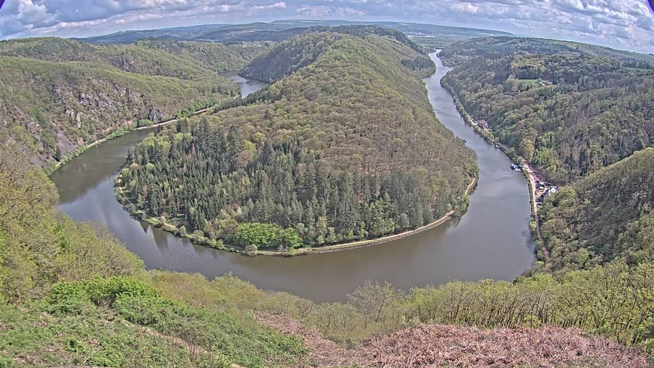 Archived image Webcam Canopy Pathway Saar Loop