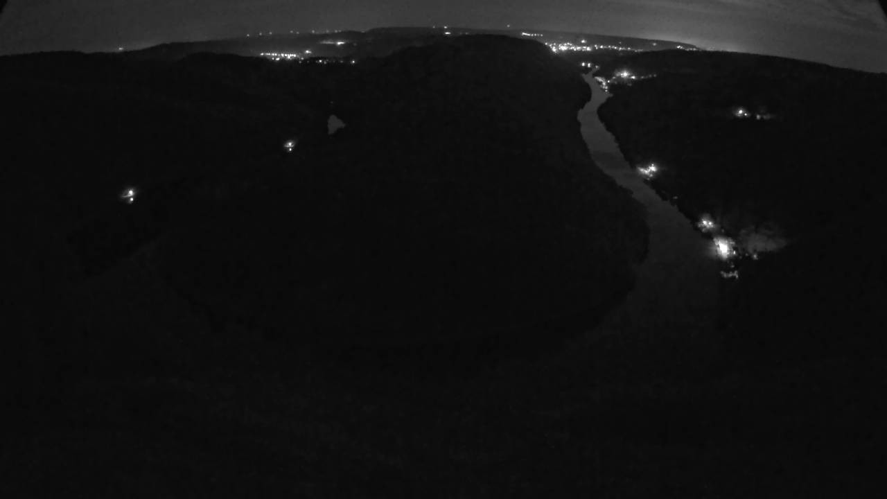 Archived image Webcam Canopy Pathway Saar Loop