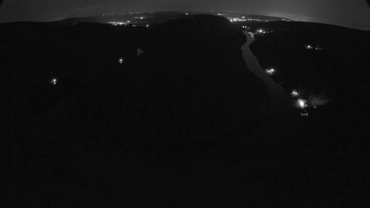 Archived image Webcam Canopy Pathway Saar Loop