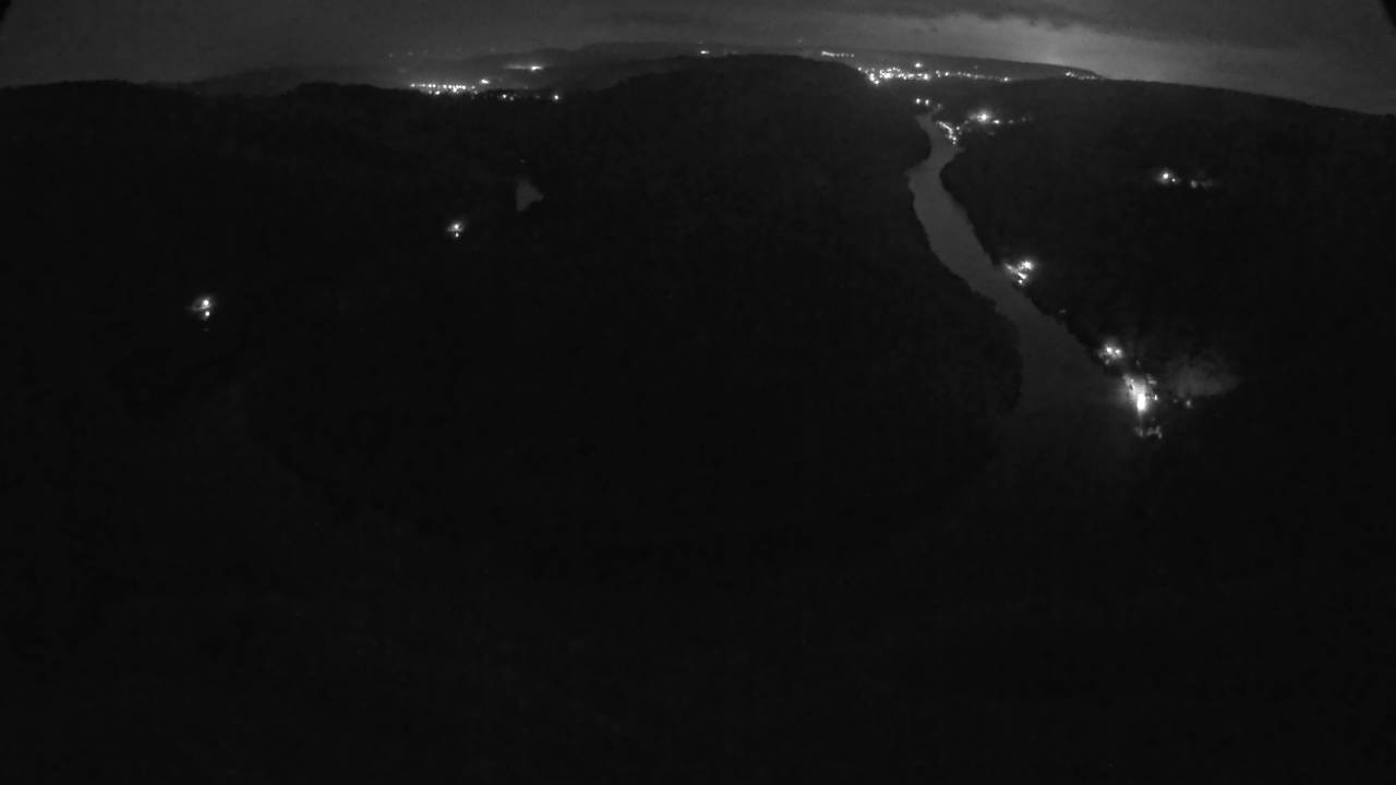 Archived image Webcam Canopy Pathway Saar Loop