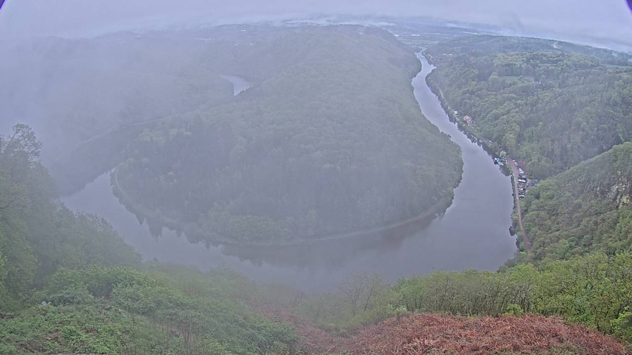 Archived image Webcam Canopy Pathway Saar Loop