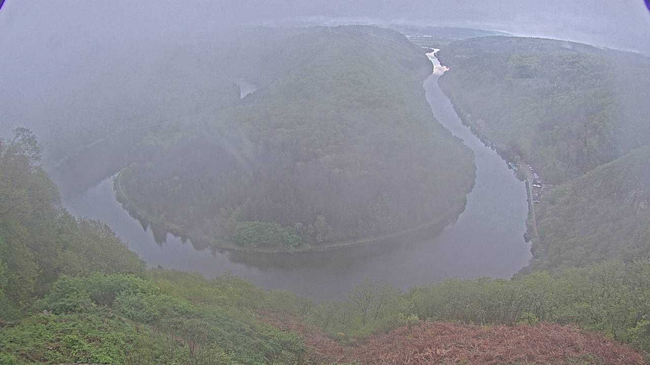 Archived image Webcam Canopy Pathway Saar Loop