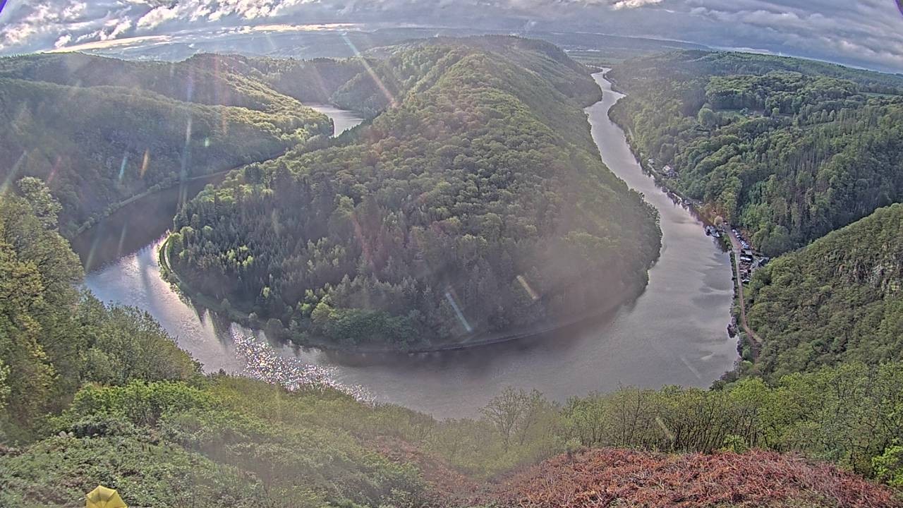 Archived image Webcam Canopy Pathway Saar Loop