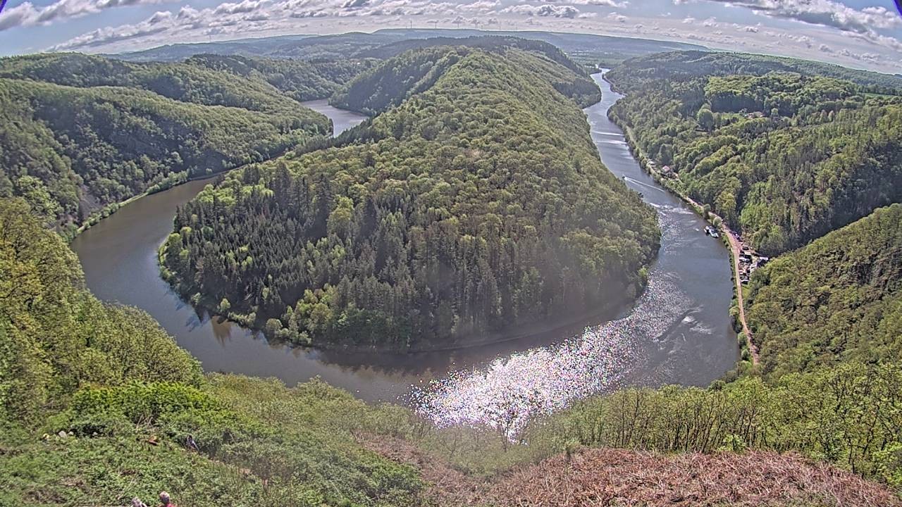 Archived image Webcam Canopy Pathway Saar Loop