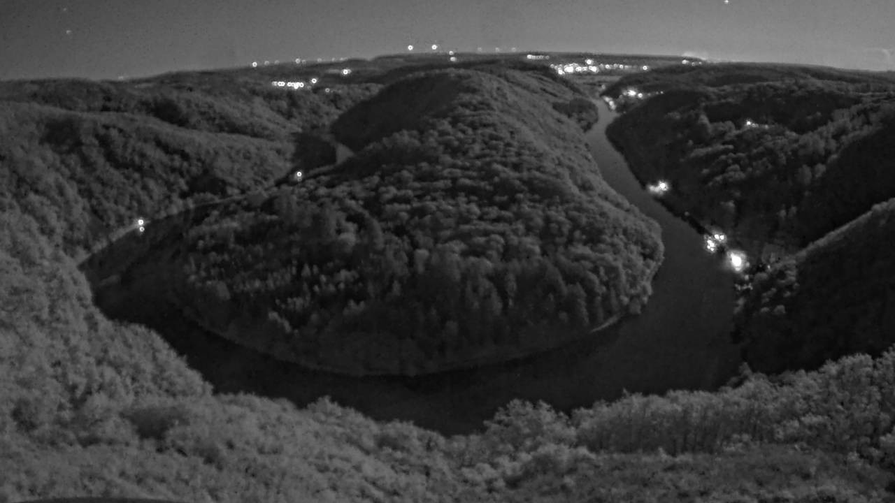 Archived image Webcam Canopy Pathway Saar Loop