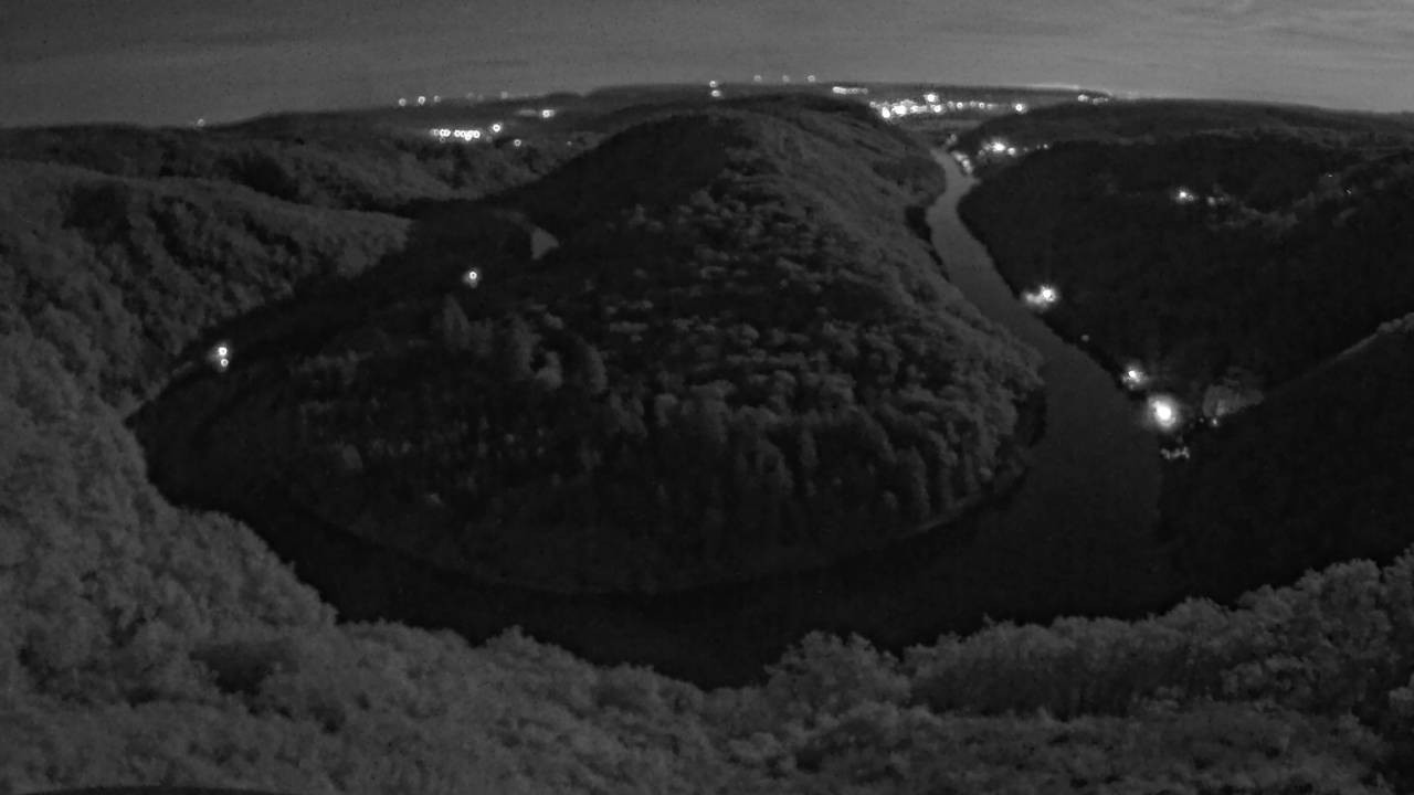 Archived image Webcam Canopy Pathway Saar Loop