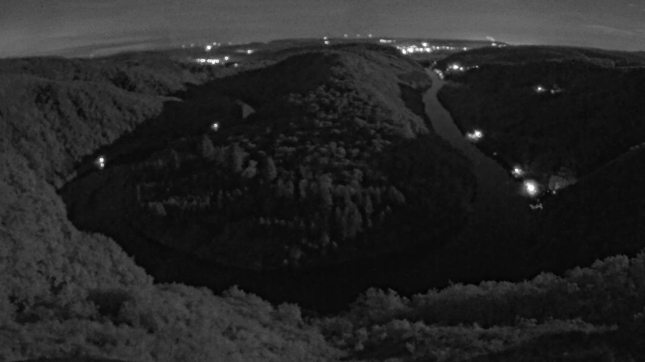 Archived image Webcam Canopy Pathway Saar Loop