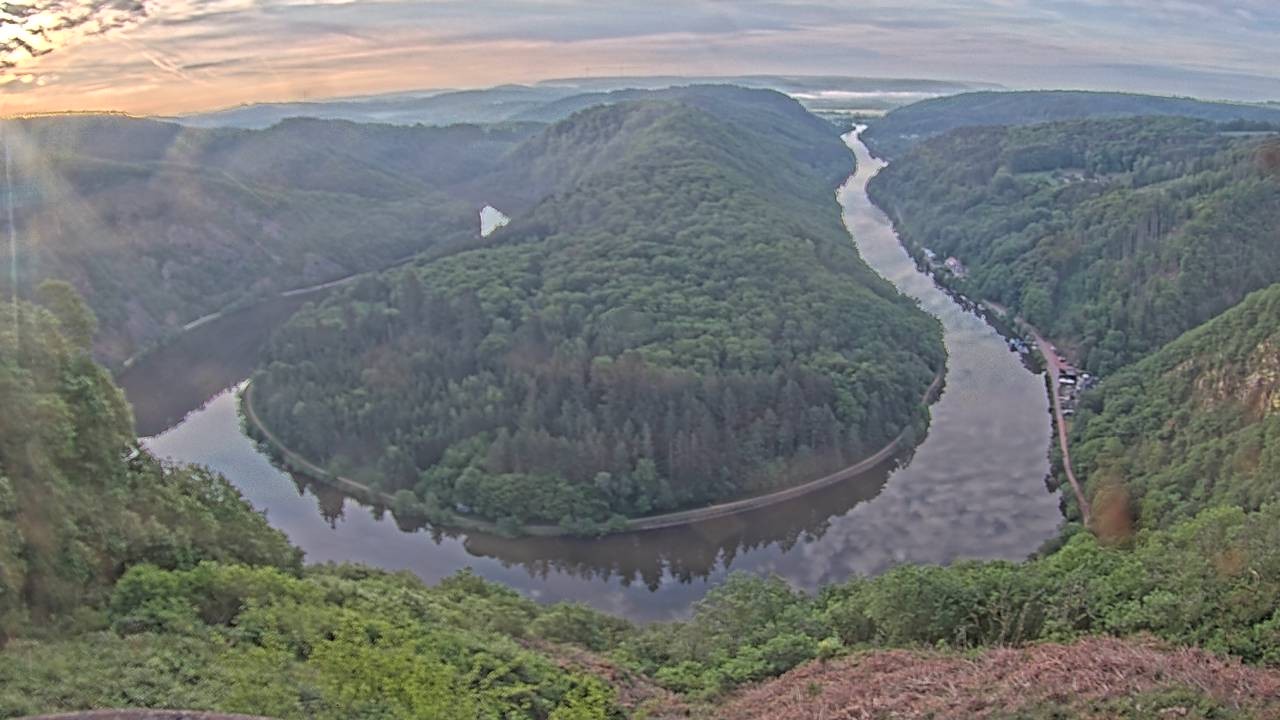 Archived image Webcam Canopy Pathway Saar Loop