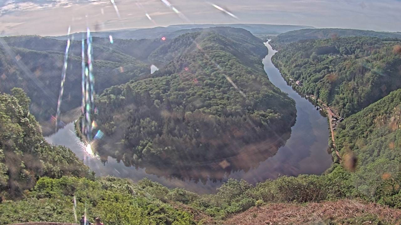 Archived image Webcam Canopy Pathway Saar Loop