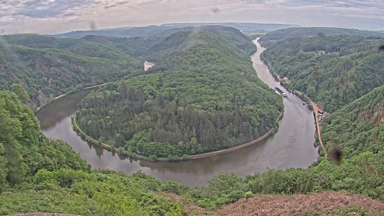 Archived image Webcam Canopy Pathway Saar Loop