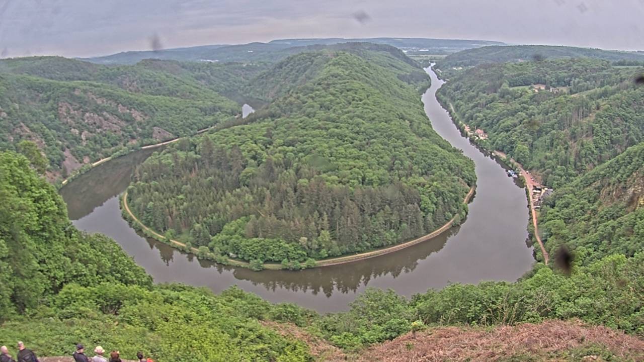 Archived image Webcam Canopy Pathway Saar Loop