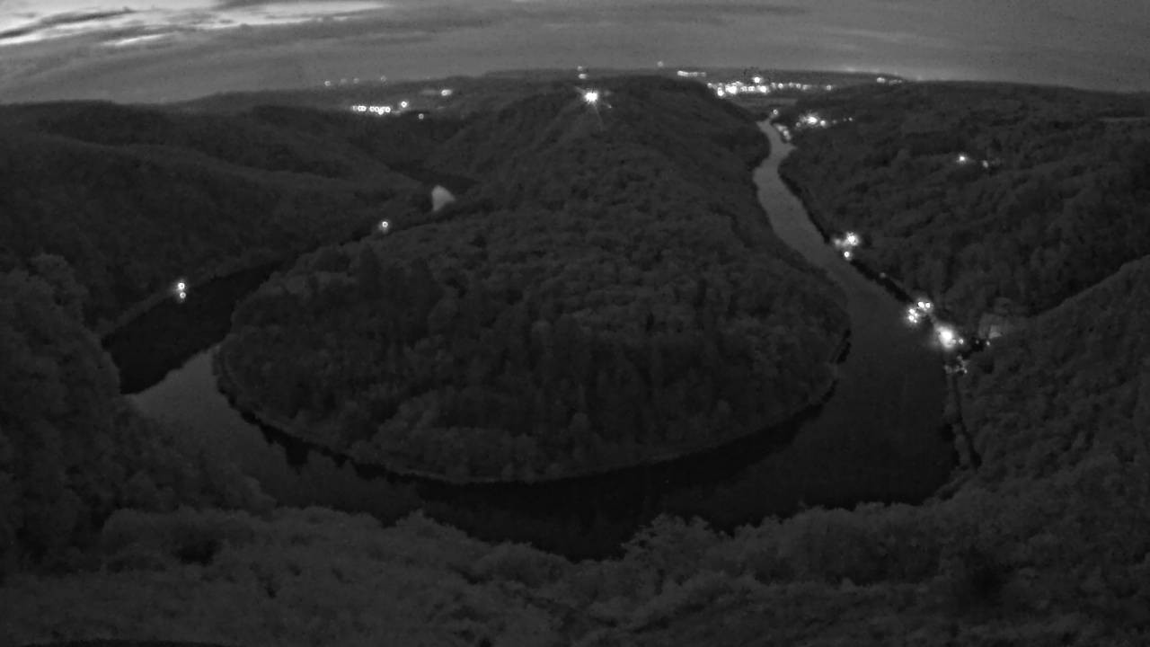Archived image Webcam Canopy Pathway Saar Loop